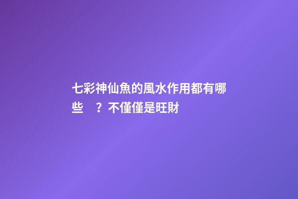七彩神仙魚的風水作用都有哪些？不僅僅是旺財